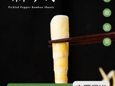 云南金江厂家鲜嫩清水 竹笋尖罗汉笋火锅笋2.5kg*4袋商用整箱批发图2
