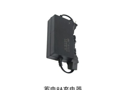 厂家批发8A12A蓄电锂电充电器正反接 农用充电 电动喷雾器充电器图2
