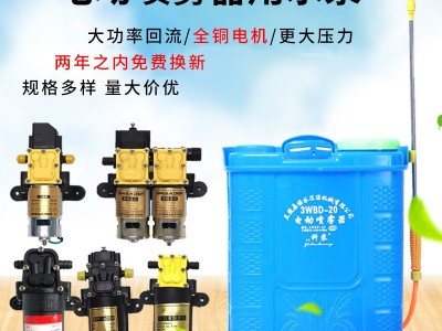 背负式电动喷雾器 农用防疫消毒喷壶园林果树 高压打药机源头厂家图2