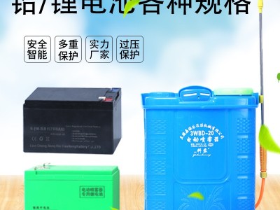 背负式电动喷雾器 农用防疫消毒喷壶园林果树 高压打药机源头厂家图3