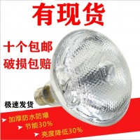 厂家直销仔猪取暖灯养殖保温灯养殖小鸡加温烤灯取暖发热灯
