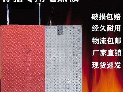 不锈钢养殖保温板小猪用加热板恒温产床保育狗蛇碳纤维仔猪电热板图2