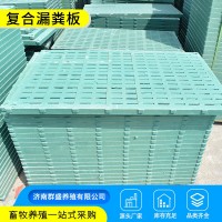 猪漏粪板母猪产床板保育床漏粪篦子 育肥猪专用复合板树脂漏粪板