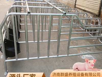 母猪定位栏限位栏猪圈围栏复合漏粪板母猪产床养猪用设备批发保育图3