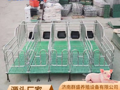 母猪定位栏限位栏猪圈围栏复合漏粪板母猪产床养猪用设备批发保育图4