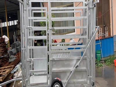 牧场养殖设备挤压箱保定夹保定架牛称重防疫分群检测一体现货供应图4
