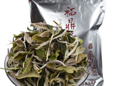 2022年福鼎白茶头春白牡丹高山散茶花香味新茶500g 厂家批发图3