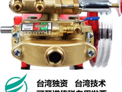 台湾陆雄锦渤TB-36高压农用柱塞泵机动喷雾器自动泄压动力喷雾器图3