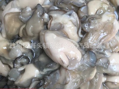 连云港特产当天 现剥去壳 生蚝 海蛎 牡蛎肉 新鲜 鲜活海鲜批发图2