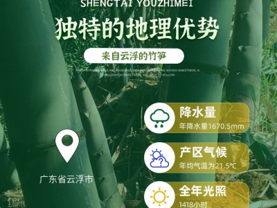 云浮特产新鲜竹笋脆口竹笋片 云浮竹笋 清水笋片春笋厂家直供批发图3