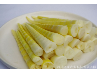 竹笋 水煮细笋（长）火锅笋 酒店餐厅特色食材 净重2500g/包 4包/图3