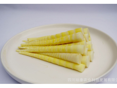竹笋 清水笋 水煮细笋 火锅笋 酒店餐饮特色食材 1000g图2