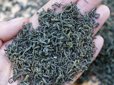 牧茗山 2022浙江丽水高山绿茶新茶 浓豆香 松阳龙井香茶 茶叶批发图4