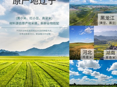 五谷杂粮粥组合 黑米膳食养胃营养粥 粗粮粥料五谷杂粮粥料批发图4