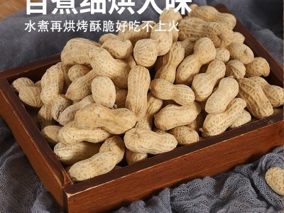 蒜香花生带壳水煮炒熟批发今年新季坚果零食散装十斤伊食佳工厂直图3