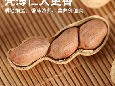 蒜香花生带壳水煮炒熟批发今年新季坚果零食散装十斤伊食佳工厂直图4