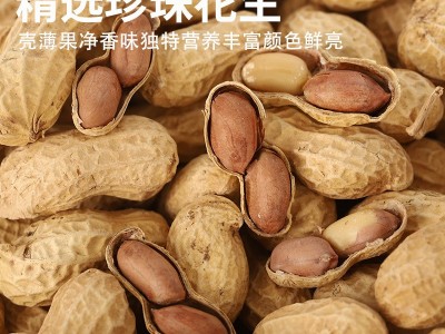 小珍珠陈皮花生带壳水煮炒熟批发新季多味坚果500g散装十斤伊食佳图2