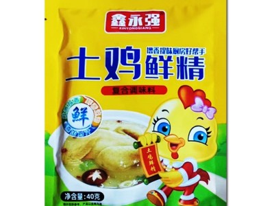 鑫永强鸡精地摊货源批发40克鸡精地摊热销产品一元调料图2
