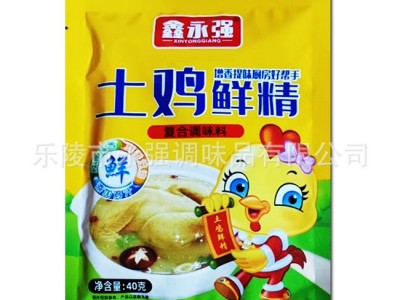 鑫永强鸡精地摊货源批发40克鸡精地摊热销产品一元调料图5